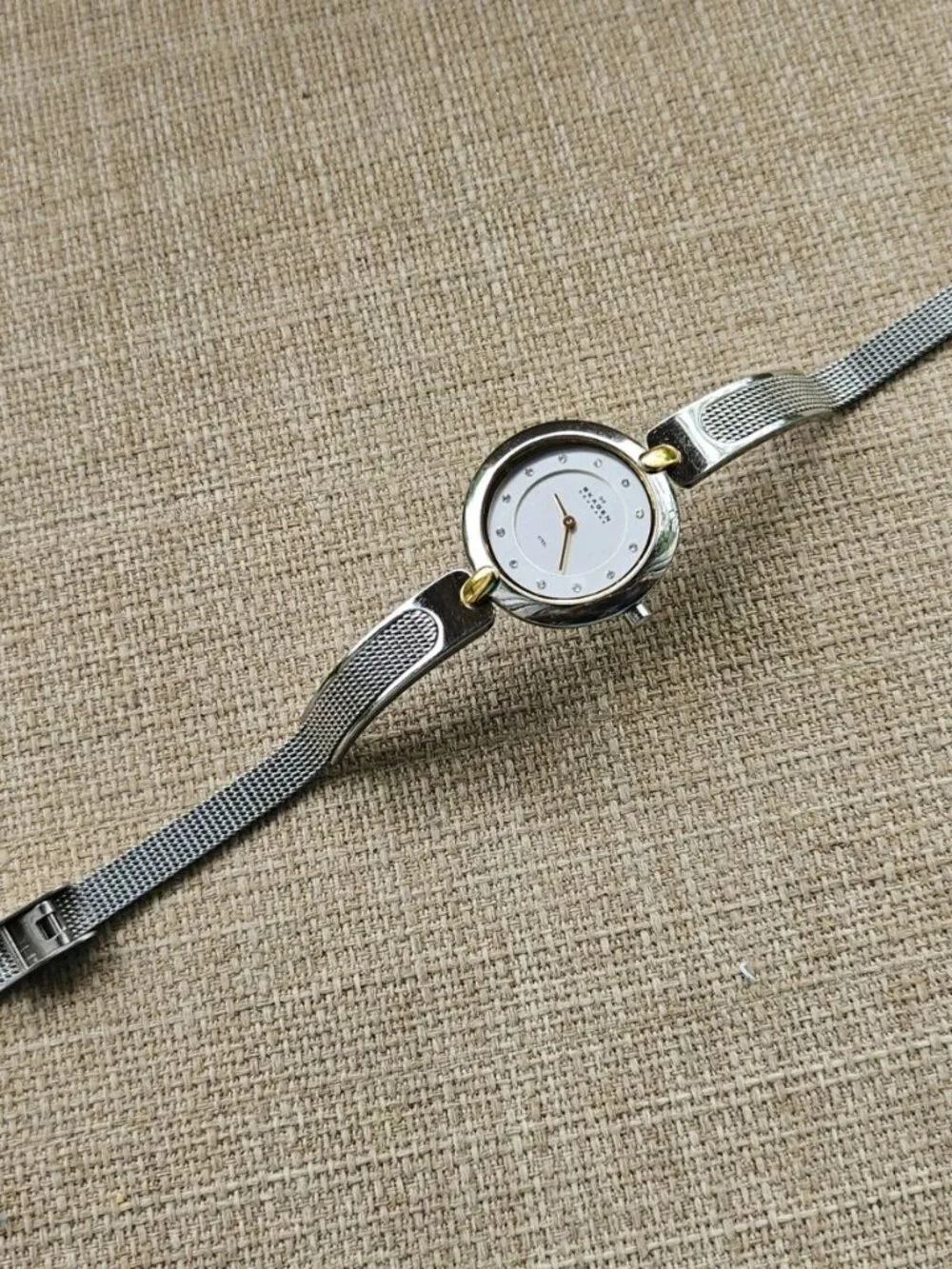 Skagen Denmark Ladies Wristwatch Silver Tone Gold Tone Accent Analog Wrist Watch